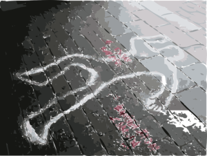 studia - kryminalistyka