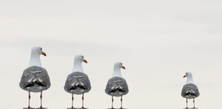 Czym jest zintegrowany łańcuch dostaw?