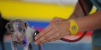 Co wpłynęło na rozwój kształcenia na odległość?