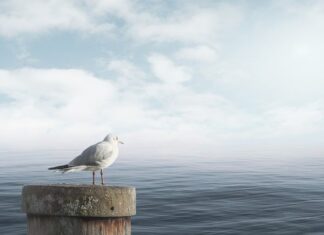 Jak uspokoić natłok myśli?