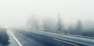 Jak zwiększyć widoczność marki w Google Ads?