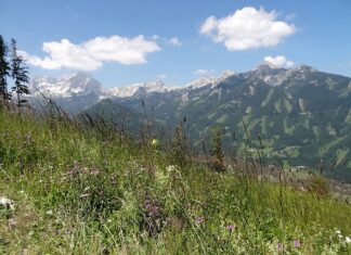 Kiedy będzie hossa na krypto?