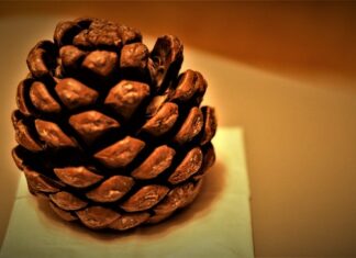 Jak działają gradientowe metody uczenia sieci neuronowych?