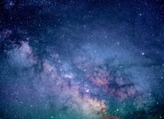 Na czym polegają badania pierwotne?