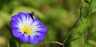 Ile jest wskaźników finansowych?