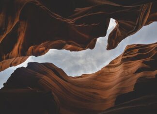 Jakie są formy rynku?