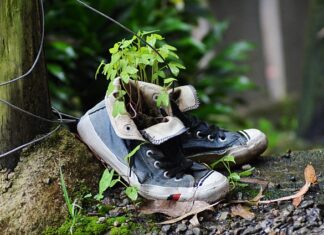 Jak przekonwertować plik?