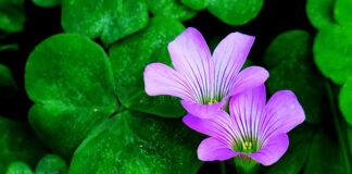 Jak przyciągnąć uwagę klienta?