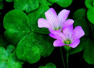 Jak przyciągnąć uwagę klienta?