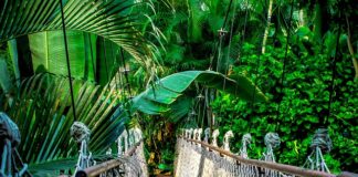 Co powinien zawierać kurs online?