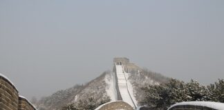 Ile jest użytkowników iOS a ile Android?