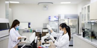 Jaka jest procedura tworzenia szkolnego zestawu programów nauczania?