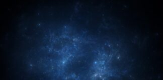 Ile kosztuje przygotowanie ankiety?