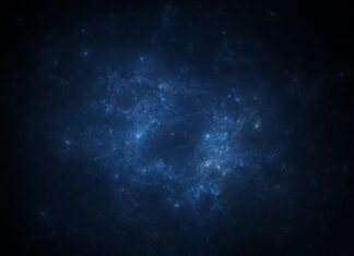 Ile kosztuje przygotowanie ankiety?