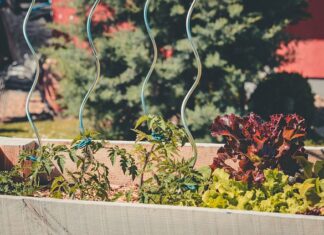 Co to jest samodoskonalenie?