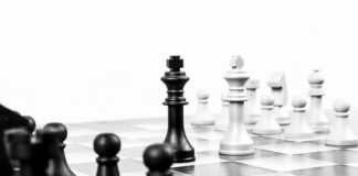 Na czym polega przywództwo organiczne?