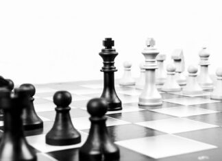 Na czym polega przywództwo organiczne?