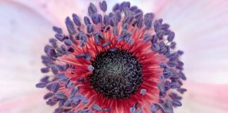 Co powinien zawierać autorski program nauczania?