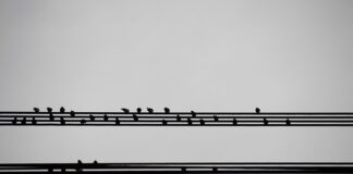 Co to jest podsumowanie zawodowe?