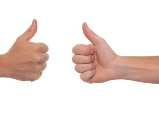 Co to jest opinia starosty?