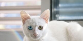 Na czym polega współpraca z dostawcami?