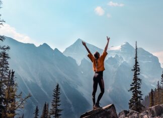 Co powinien zawierać program własny?