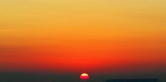 W jakie umiejętności warto inwestować?