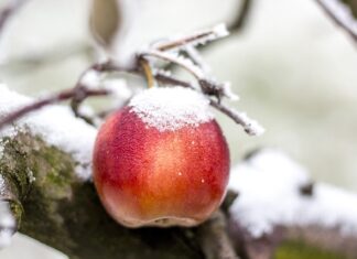 Jak wprowadzać dane z ankiet do Excela?