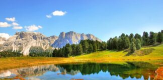 Jaki jest zakres badań marketingowych?