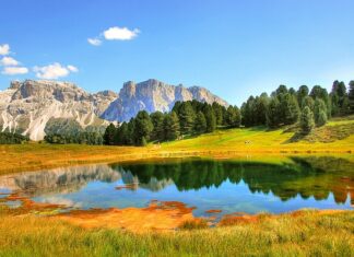 Jaki jest zakres badań marketingowych?