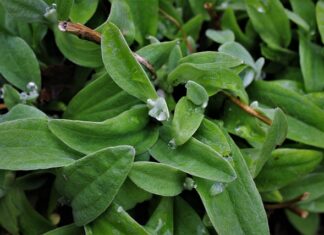 Jak pogodzić życie zawodowe z rodzinnym?