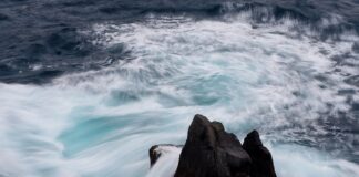 Gdzie sprawdzać ceny kryptowalut?