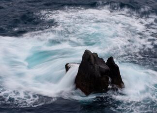 Gdzie sprawdzać ceny kryptowalut?