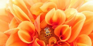 Co może być efektywne?