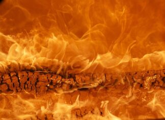 Jak rozwinąć markę?