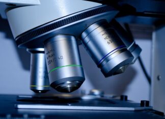 Co warto studiować w 2023?