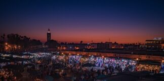 Co to jest Al w aparacie?