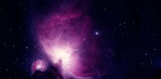 Od czego zacząć naukę Data Science?