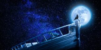 W którym roku weszła nowa podstawa programowa?