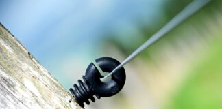 Ile Polaków jest na emigracji?