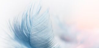 Jak stworzyć własną platformę e learningową?