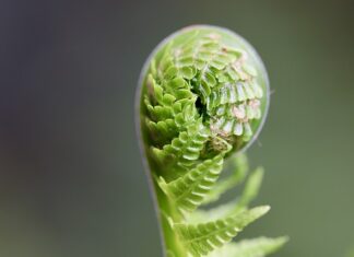 Jak prawidłowo rozwijać dziecko?
