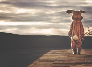 Co to jest indywidualny plan rozwoju?