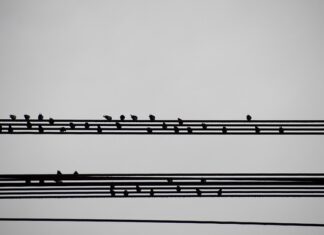 Jak napisać podsumowanie zawodowe?