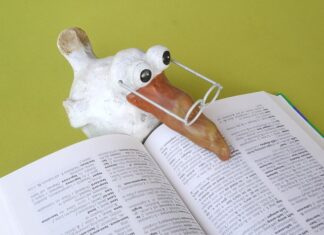 Co warto przeczytać?