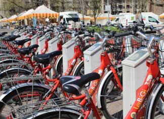 Czym charakteryzuje się Zrównoważona logistyka i zarządzanie łańcuchem dostaw?