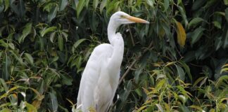 Gdzie w Polsce mieszka się najlepiej?