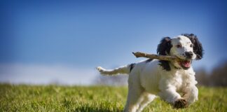 Jak odzyskać balans?