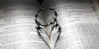 Czy warto przechodzić na iOS 16?