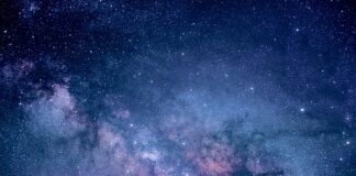 Jak przeprowadzać badania marketingowe?